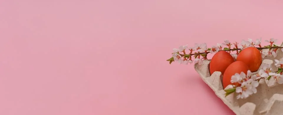 Eggs for the Easter holiday. easter composition with flowers on a cherry tw.. Stock Photos
