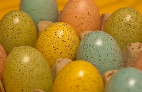The Eggs of Easter Stock Photos