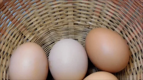 Eggs to eat Stock Footage 77865509