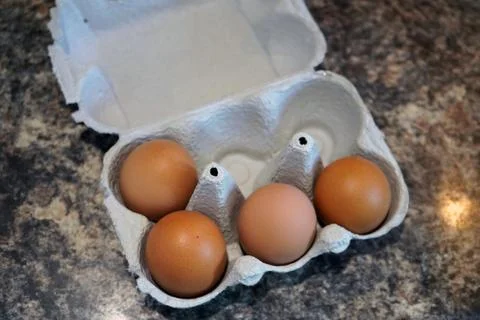 Eggs in a egg box 库存照片