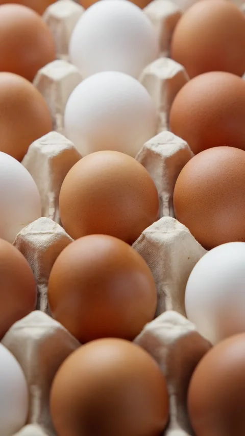 Eggs in egg carton rotating. Uncooked white and brown eggs. Vertical footage Video stock 303702751