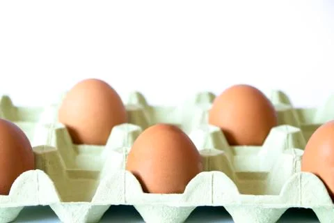 Eggs on a egg carton separated with depth of field on a white background. Soc Stock Photos