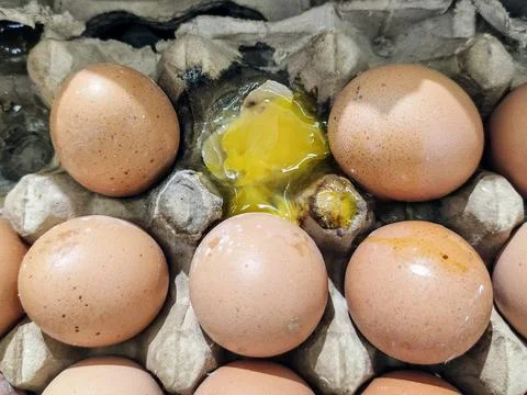 Eggs in an egg container and one of them is broken. Stock Photos