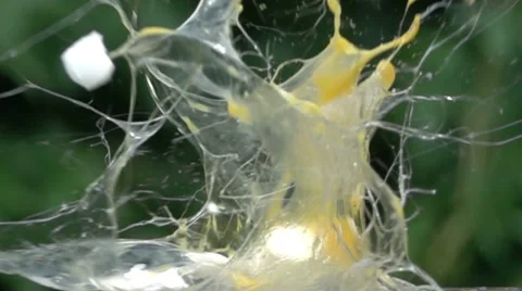 Eggs explosion slow motion 2 Stock Footage 64645311