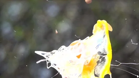 Eggs explosion slow motion HD video Video stock 75526043