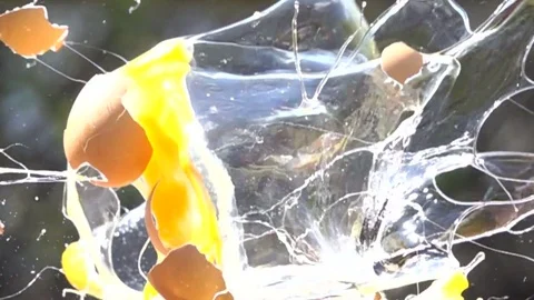 Eggs explosion slow motion HD video Video stock 75526222