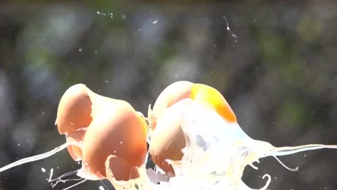 Eggs explosion slow motion HD video Video stock 75526485