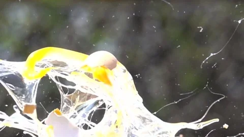 Eggs explosion slow motion HD video Video stock 75526730