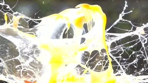 Eggs explosion slow motion HD video Stock Footage