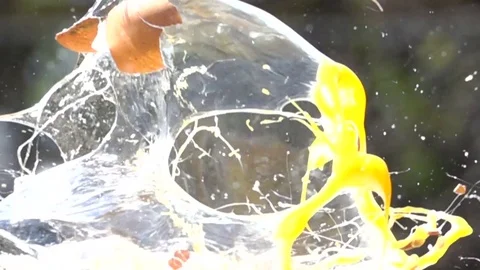 Eggs explosion slow motion HD video Video stock 75527334