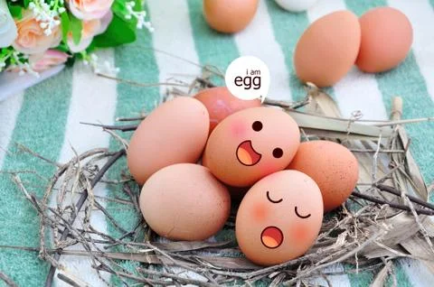 Eggs in expression face Stock Illustration