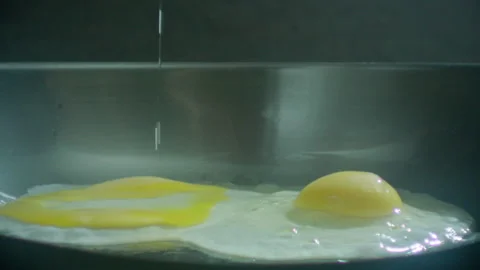 Eggs fall on the frying pan laowa macro camera Video stock 197704104