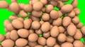 Eggs fill screen transition food breakfast chicken composite overlay element 4K 4k or 4k+ Resolution