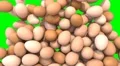 Eggs fill screen transition food breakfast chicken composite overlay element 4K 4k or 4k+ Resolution