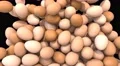 Eggs fill screen transition food breakfast chicken composite overlay element 4K 4k or 4k+ Resolution