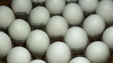 Eggs On Flat Stock Photos