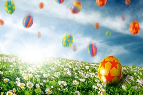 Eggs in flower field Stock Illustration