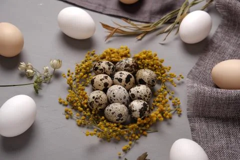 Eggs with flowers and decorative elements on concrete. Stock Photos