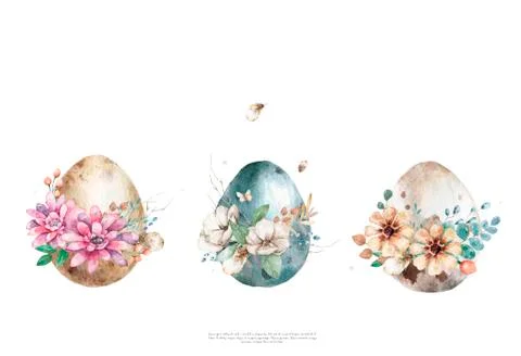 Eggs with flowers design set on white background, Hand drawn watercolor eggs. Stock Illustration