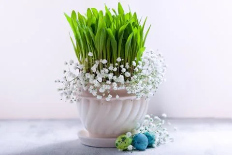 Eggs with flowers on a white background. Easter Symbols Stock Photos