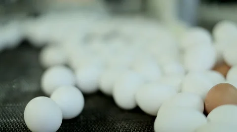 Eggs focus shift Stock Footage 57769055