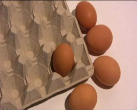 Eggs Stock Footage 560393