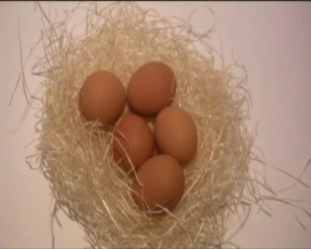 Eggs Stock Footage 560396