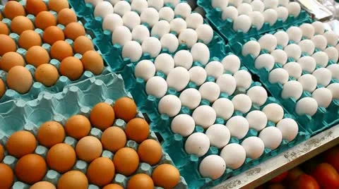 Eggs Stock Footage 22015718
