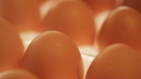 Eggs Video stock 22244352