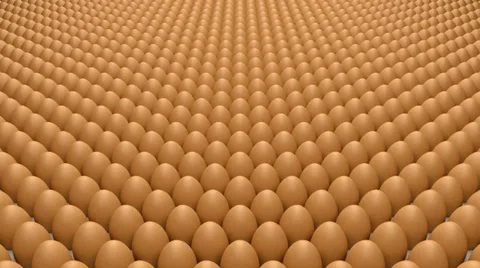 Eggs Stock Footage 32049054