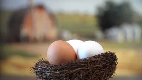 Eggs Stockbeeldmateriaal 87105019