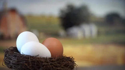 Eggs Stock Footage 87126760