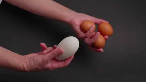 Eggs Stock Footage 304680675