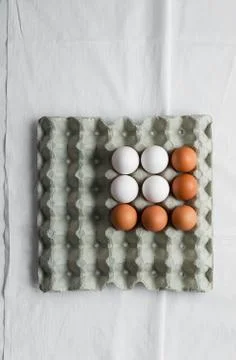 Eggs in formwork, above view Stock Photos