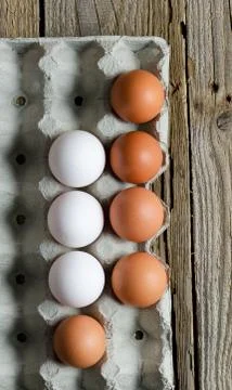 Eggs in formwork Stock Photos