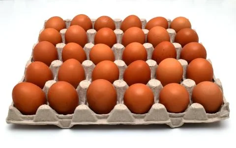 Eggs in formwork Stock Photos