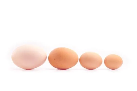 Eggs - four chicken eggs of different sizes lined up Stock Photos