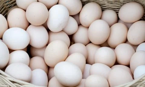 Eggs. Fresh White chicken eggs in the basket Stock Photos