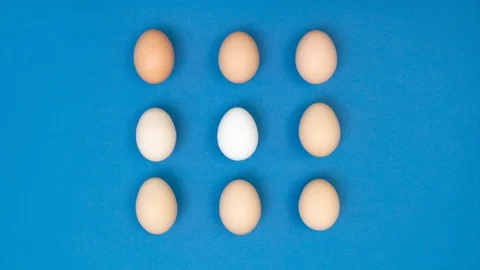 Eggs gradient animation on blue background Stock Footage 128926438