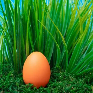 Eggs in the grass. Happy Easter poster, spring Christian greeting card, tem.. Stock Photos