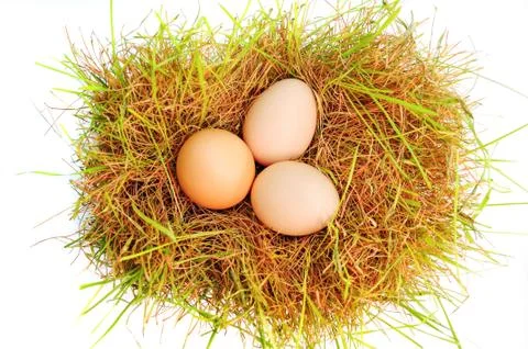 Eggs on a grass Stock Photos