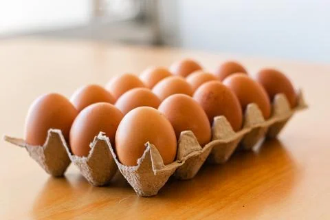 Eggs in a gray container Stock Photos