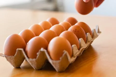 Eggs in a gray container Stock Photos