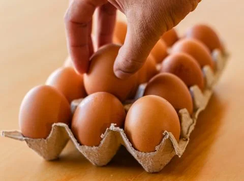 Eggs in a gray container Stock Photos