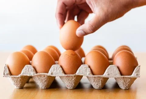 Eggs in a gray container Stock Photos