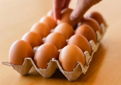 Eggs in a gray container Stock Photos