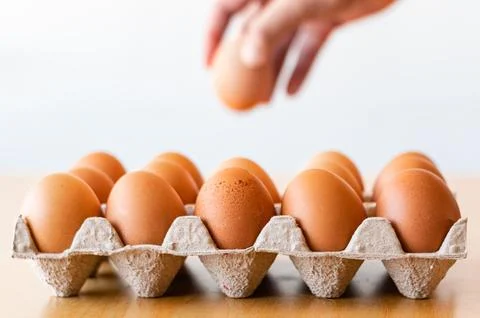 Eggs in a gray container Stock Photos