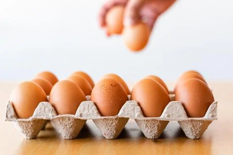 Eggs in a gray container Stock Photos
