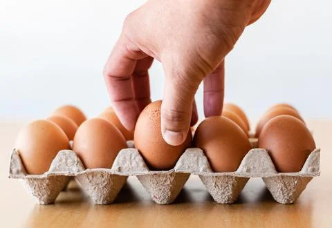 Eggs in a gray container Stock Photos