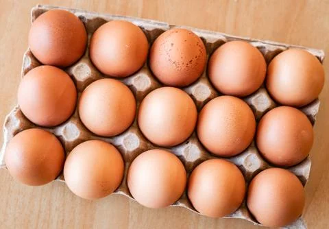 Eggs in a gray container Stock Photos